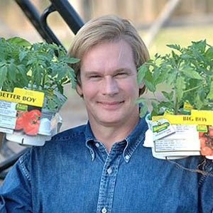 Tomatoes