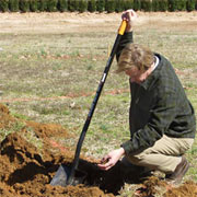 Recycling the Soil