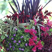 Hanging Basket Detail