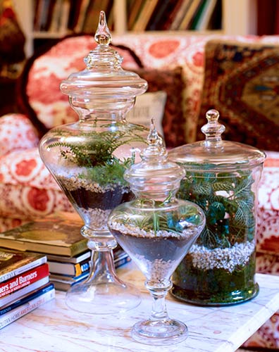 Three terrariums on a coffee table