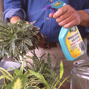 Garden Safe Insect Spray