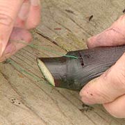 Thread Wire through the Corn