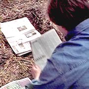 Newspaper Mulch