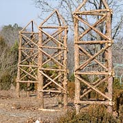 Rough Hewn Cedar Tuteurs