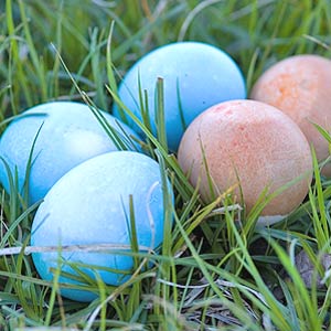 Natural Dye Easter Eggs