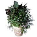 White Concrete Container Garden