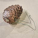Wiring the Pinecones