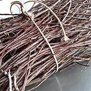 Bundle of Apple Stems