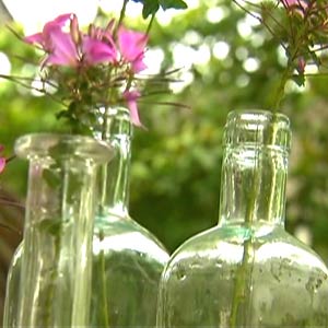 Collecting Glassware