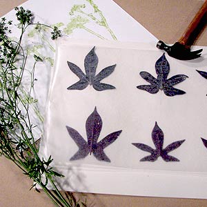 pounded leaf prints
