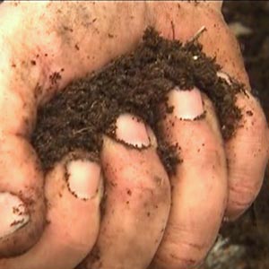 Healthy Garden Soil