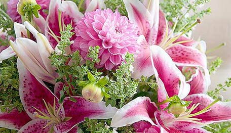 Stargaze lilies and Dahlias