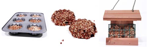 bird seed cakes