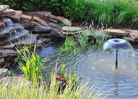 Fall Pond Care