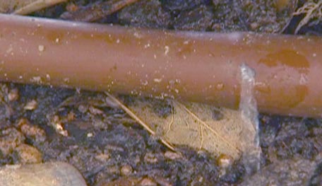 soaker hose irrigation