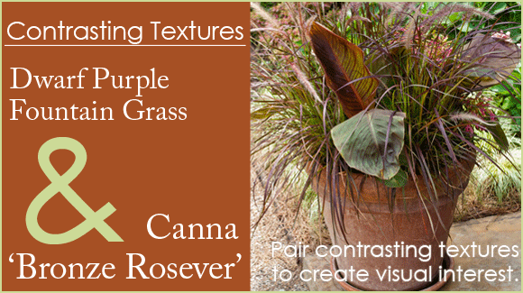 Container Garden with Ornamental Grass and Cannas