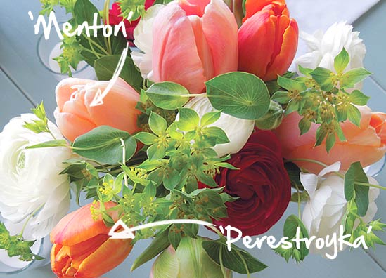 Homegrown coral wedding bouquet with tulips, rannuculous, and helicrysum