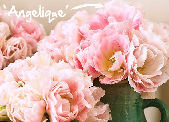 DIY wedding bouquet Angelique tulips