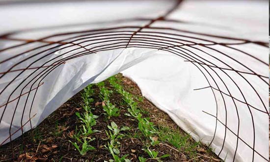 Frost blankets and concrete reinforcing wire make a simple cold frame.