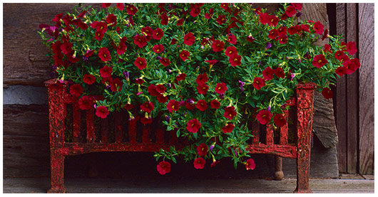 creative garden container