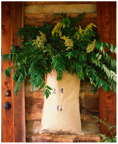 creative garden container