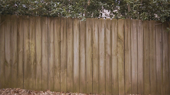 Dress Up Your Privacy Fence
