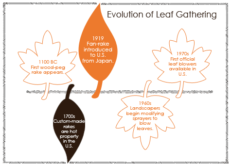Time Line Showing the Evolution from Rake to Leaf Blower