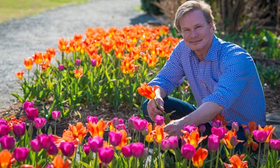 P. Allen Smith with orange and purple tulips.