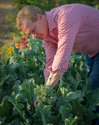 P. Allen Smith harvesting broccoli from his Home Grown Seed Collection