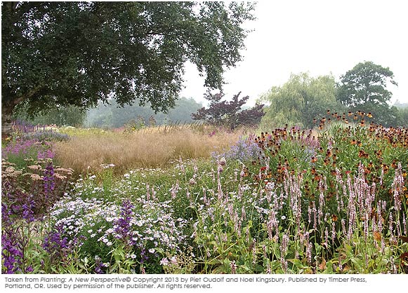 Piet Oudolf Garden at Pensthorpe Nature Preserve in Norfolk