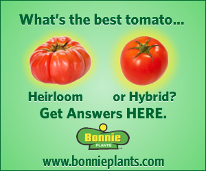 Bonnie Plants Tomatoes