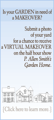 Virtual Makeover