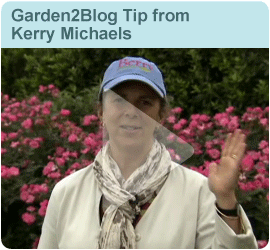 A Garden 2 Blog Gardening Tip from Kerry Michaels