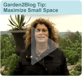 A Garden 2 Blog Gardening Tip from Robin Paskoff Horton