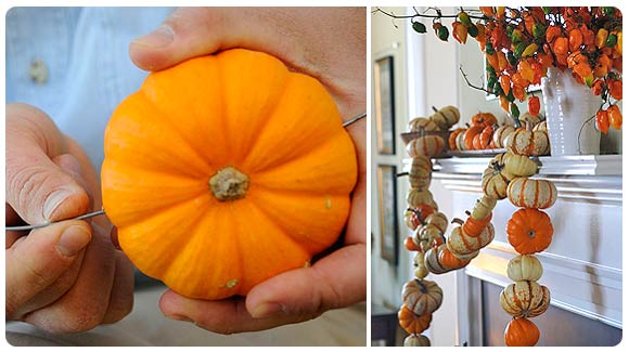 Seed Saving