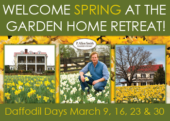 Daffodil Days