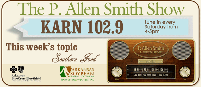 The P. Allen Smith Show
