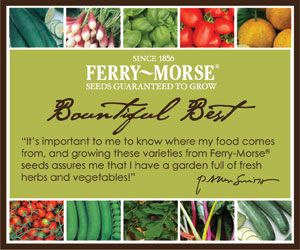 Ferry Morse
