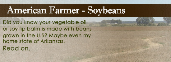 Are you hip to soy oil?