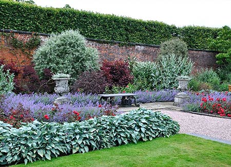 England03 Arley Hall walled garden. Catmint, 'Halcyon' hosta and 'Rosemary Rose' roses.