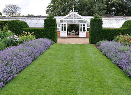 England08 Catmint 'Six Hills Giant' framing the view to the glass house at Houghton Hall.