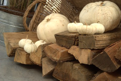 101011FireWood