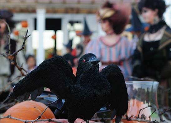 A decoration often used at Halloween, the raven portrays darkness and trickery.