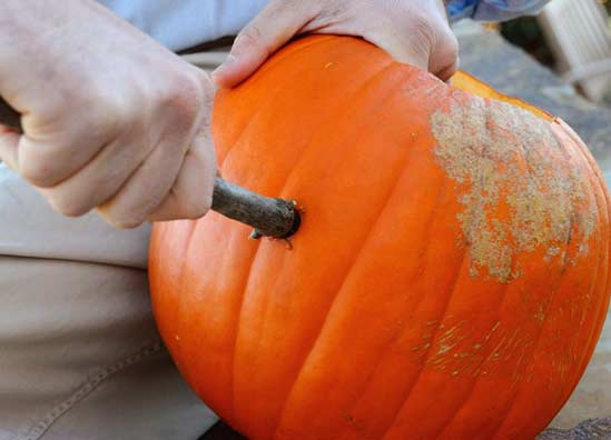 JackOLantern02 A dowel inserted through holes on either side of the pumpkin provided somewhere to tie the wire.