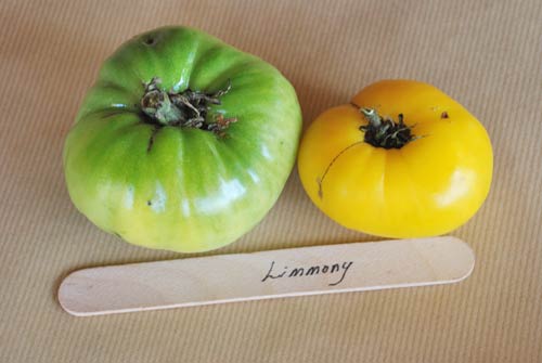 Limmony
