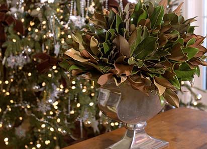 Magnolia leaves with their dual coloration are a beautiful display in a silver vase.