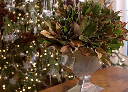Xmas2011_03 Magnolia leaves with their dual coloration are a beautiful display in a silver vase.