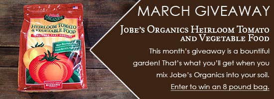 0225JobesGiveAway