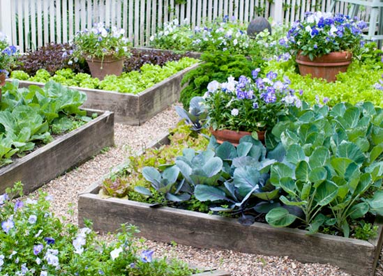 A pot of annuals or colorful vegetables creates a focal point in a raised bed.