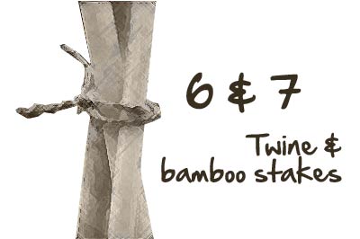 20130218_TwineStakes